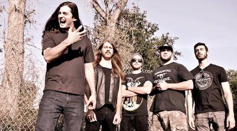 Live Wire: From the ashes 