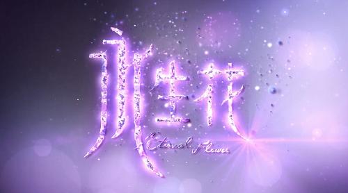 永生花 (Eternal Flower) 永生花 (Eternal Flower)